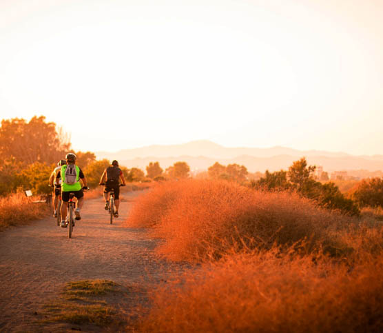 Himalayan Trek Adventure